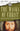 The Masks of Christ: Behind the Lies and Cover-ups About the Life of Jesus (Touchstone Books (Paperback))