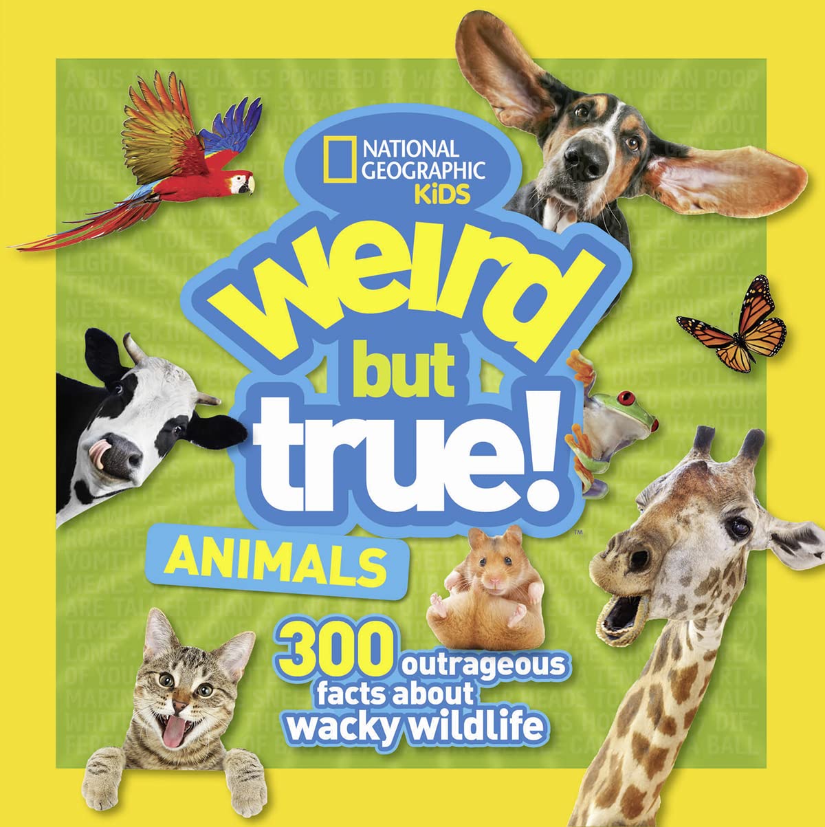 Weird But True Animals - 917