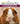 The Guinea Pig Handbook (B.E.S. Pet Handbooks)