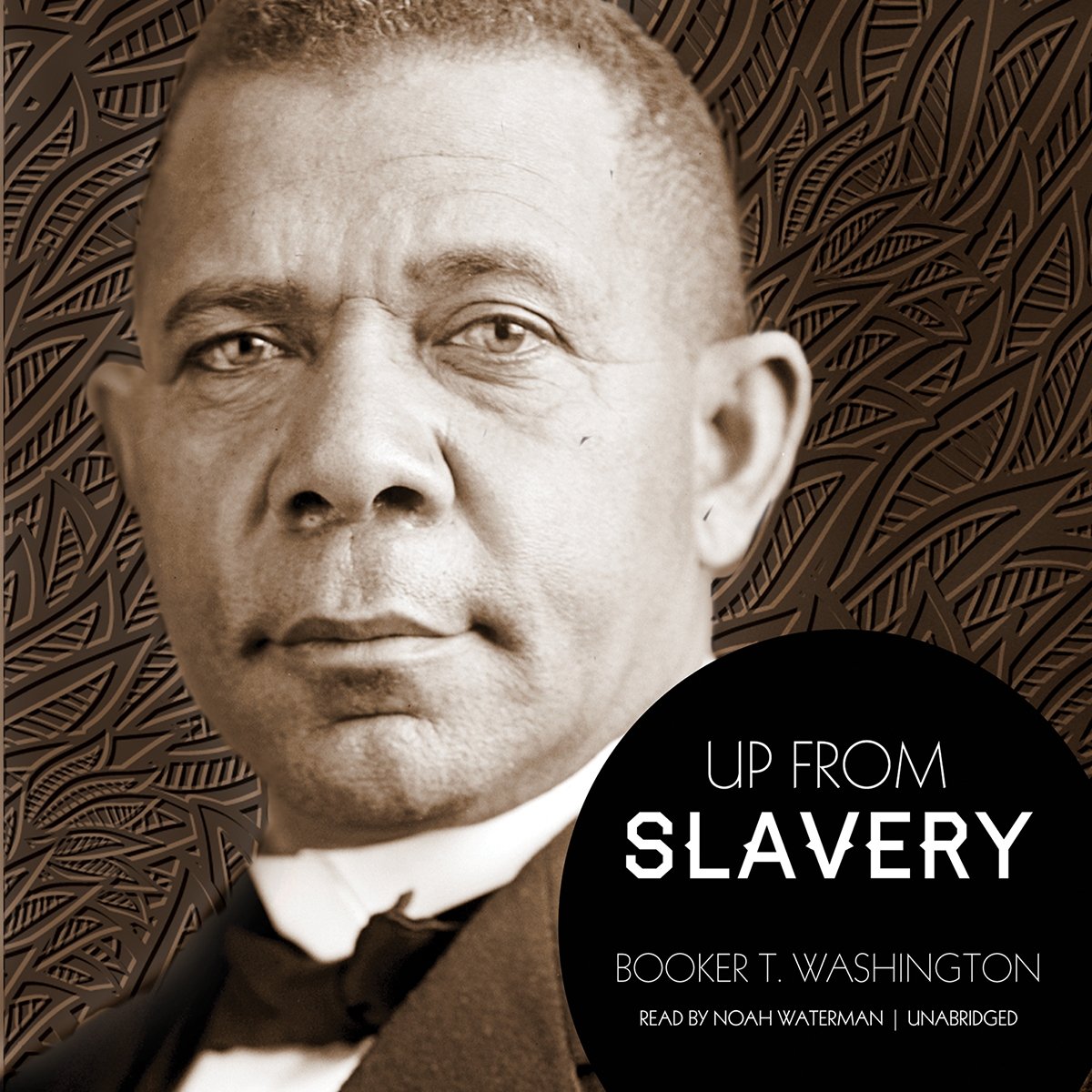 Up from Slavery - 3327