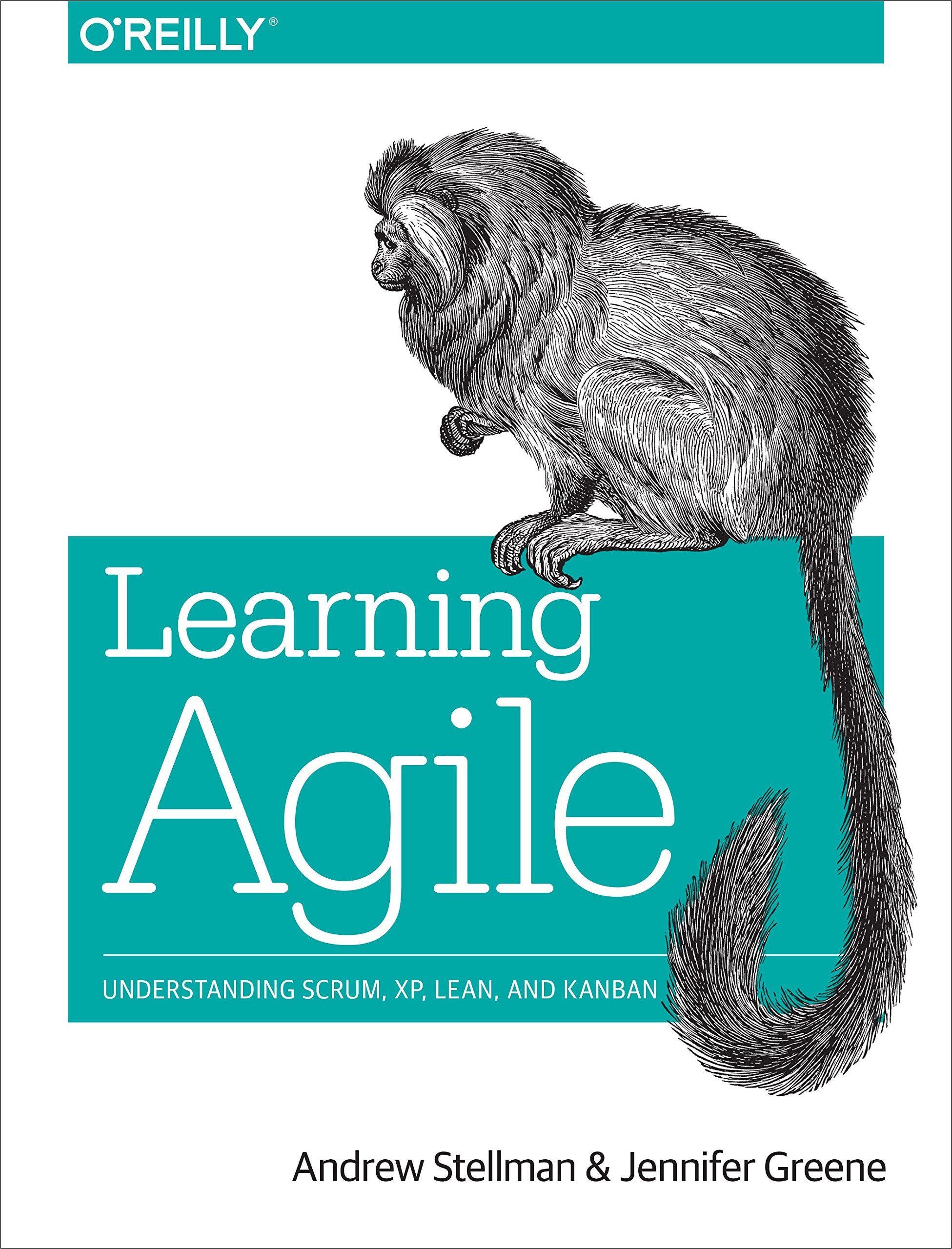 Learning Agile: Understanding Scrum, XP, Lean, and Kanban - 7643