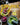 Tex-Mex from Scratch: A Cookbook