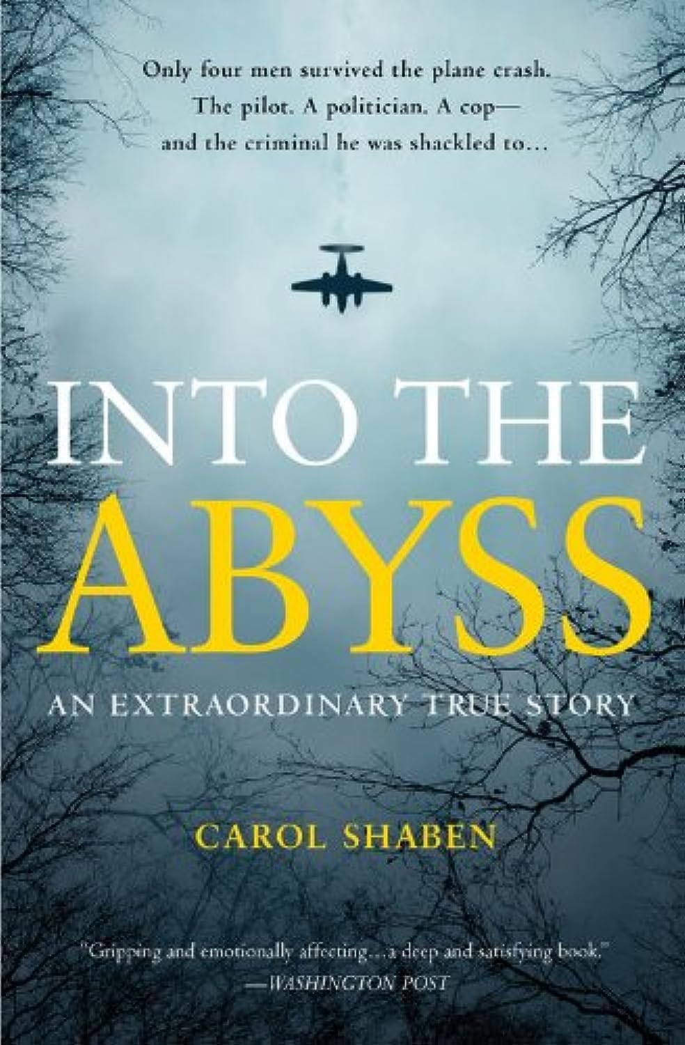 Into the Abyss: An Extraordinary True Story by Shaben, Carol (2014) Paperback