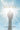 Touching Heaven: A Cardiologist's Encounters with Death and Living Proof of an Afterlife