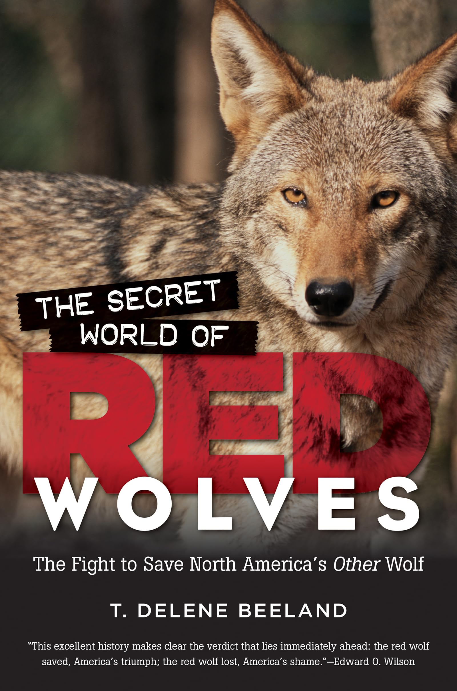 The Secret World of Red Wolves: The Fight to Save North America's Other Wolf - 1915
