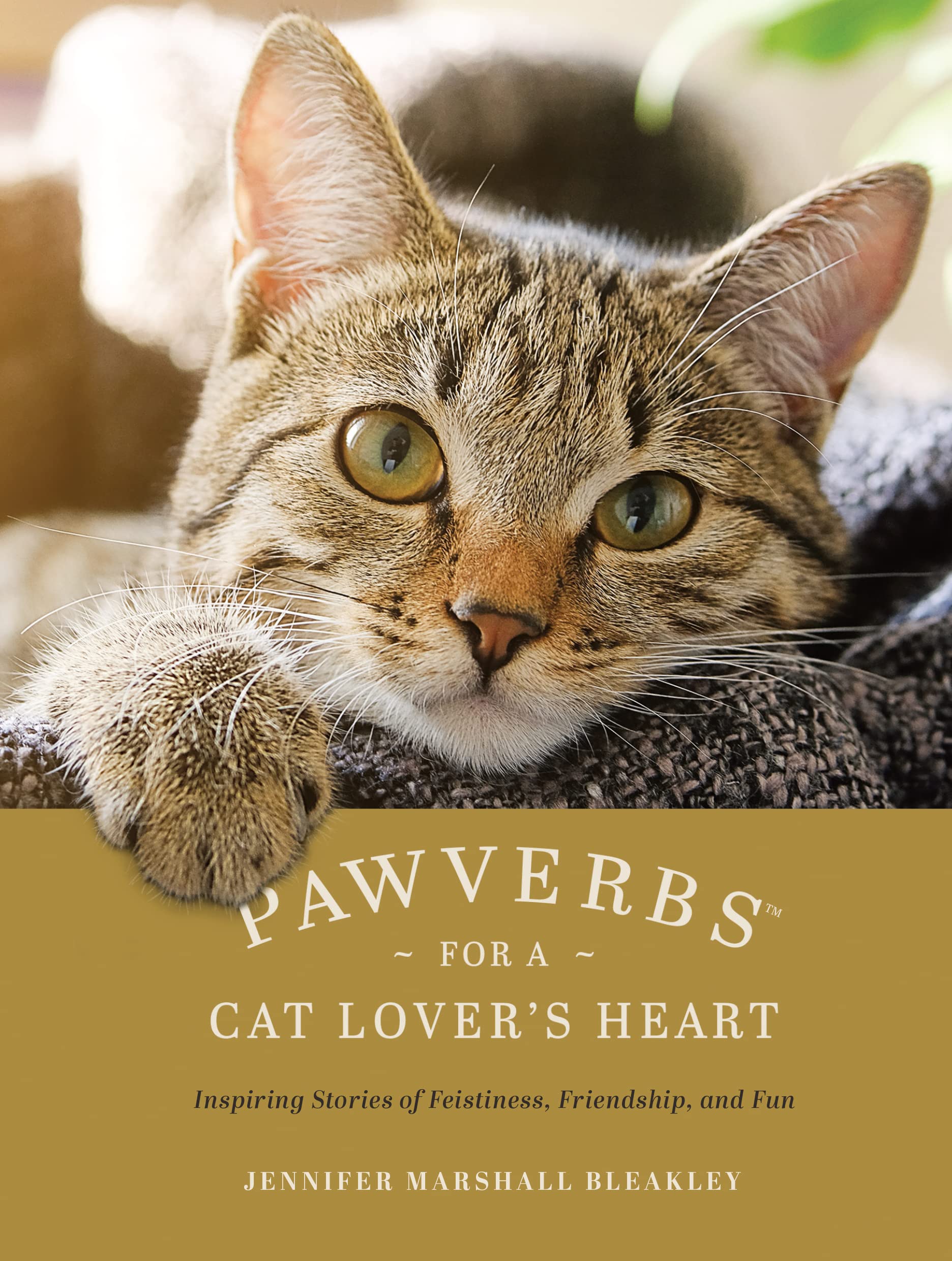 Pawverbs for a Cat Lover's Heart: Inspiring Stories of Feistiness, Friendship, and Fun - 6431