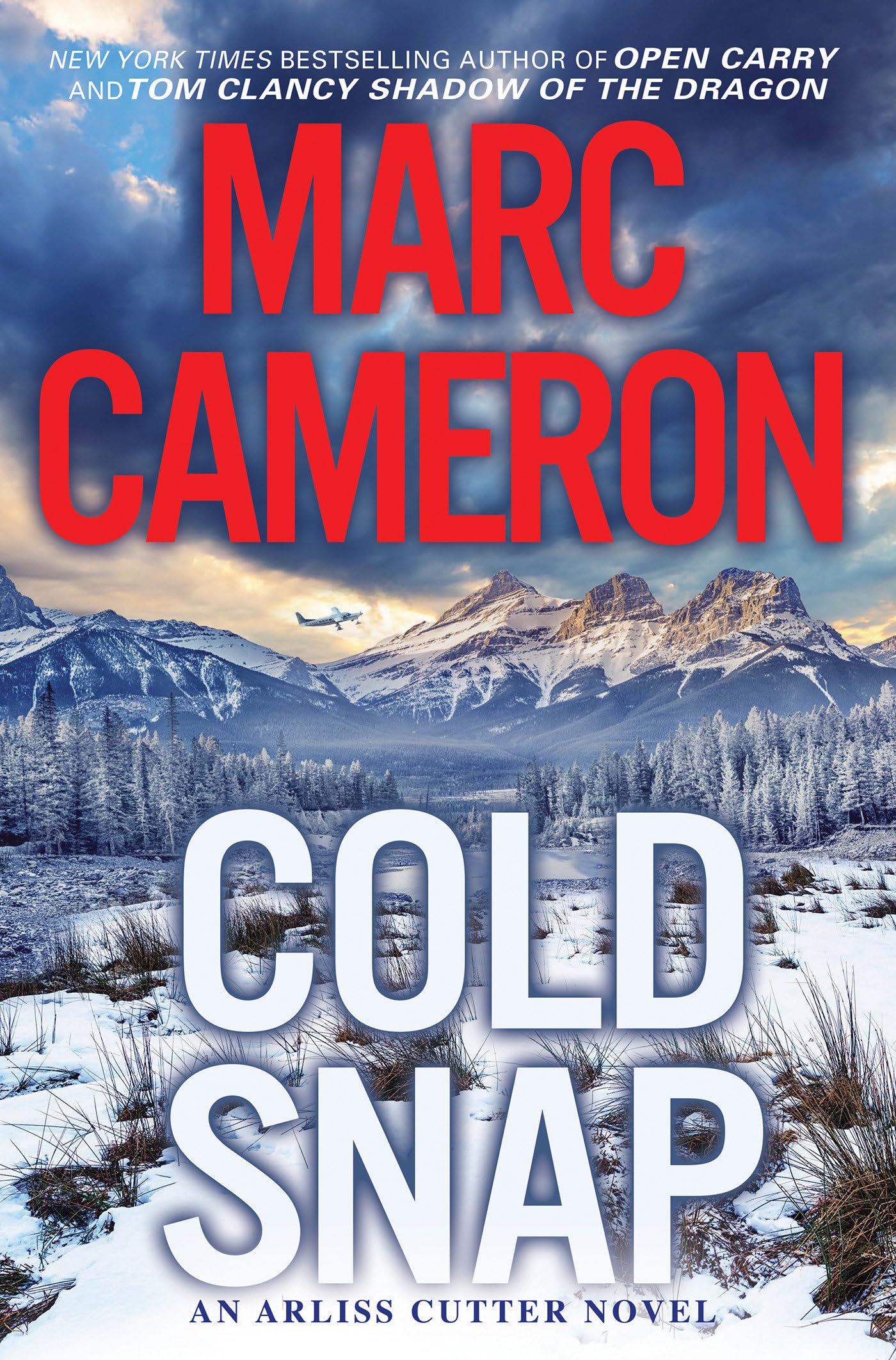 Cold Snap: An Action Packed Novel of Suspense (An Arliss Cutter Novel)