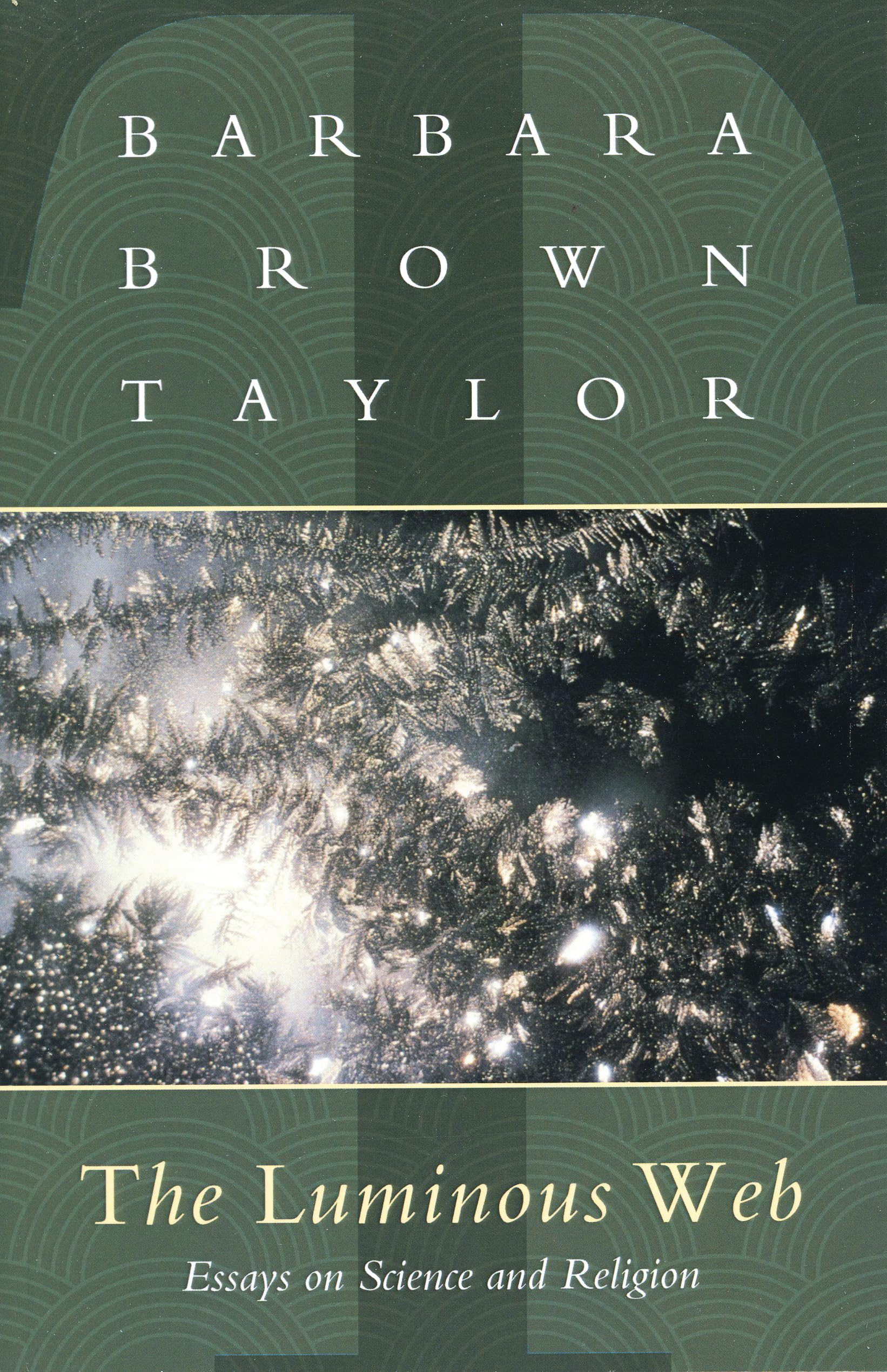 The Luminous Web: Essays on Science and Religion