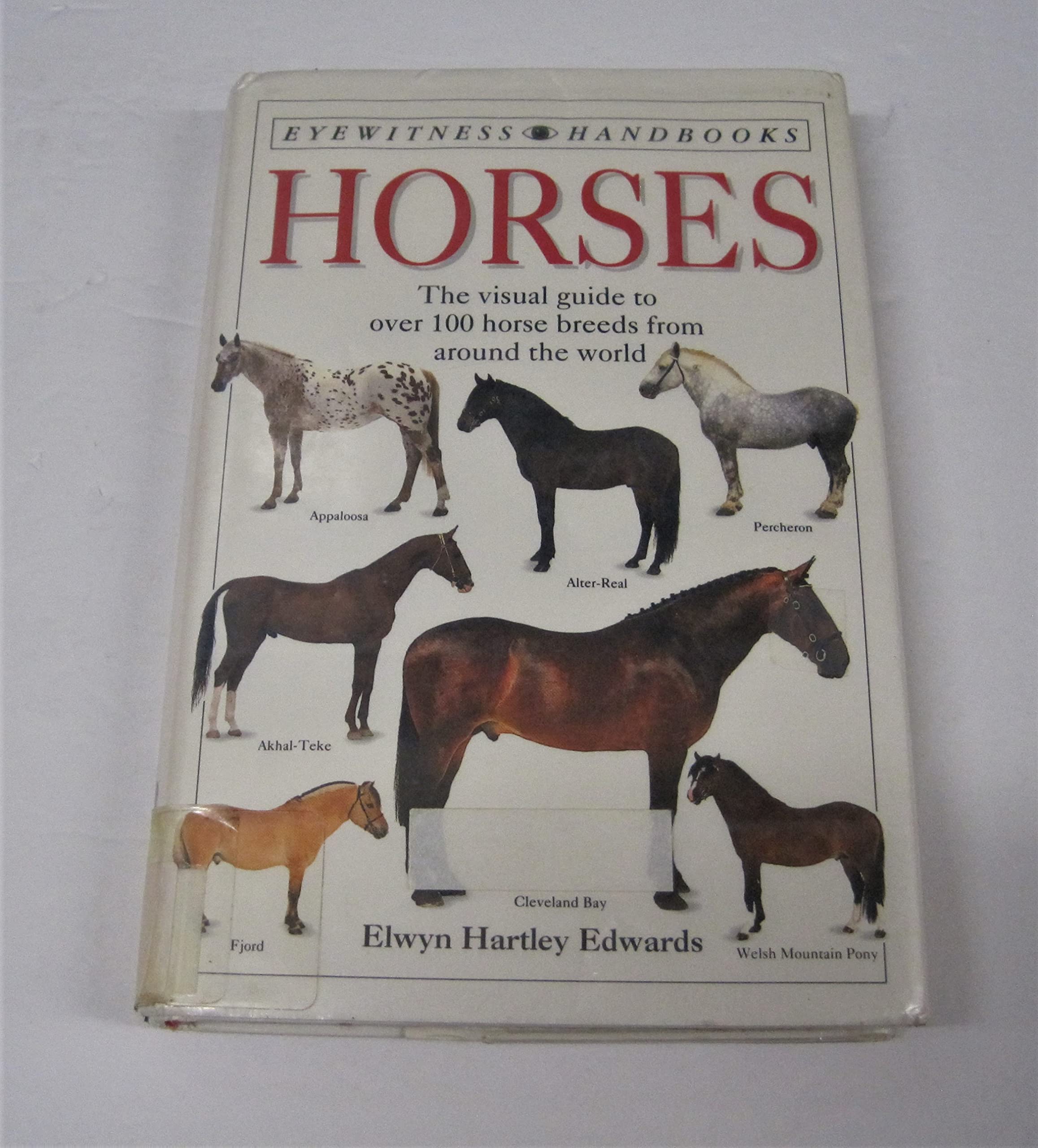 Horses