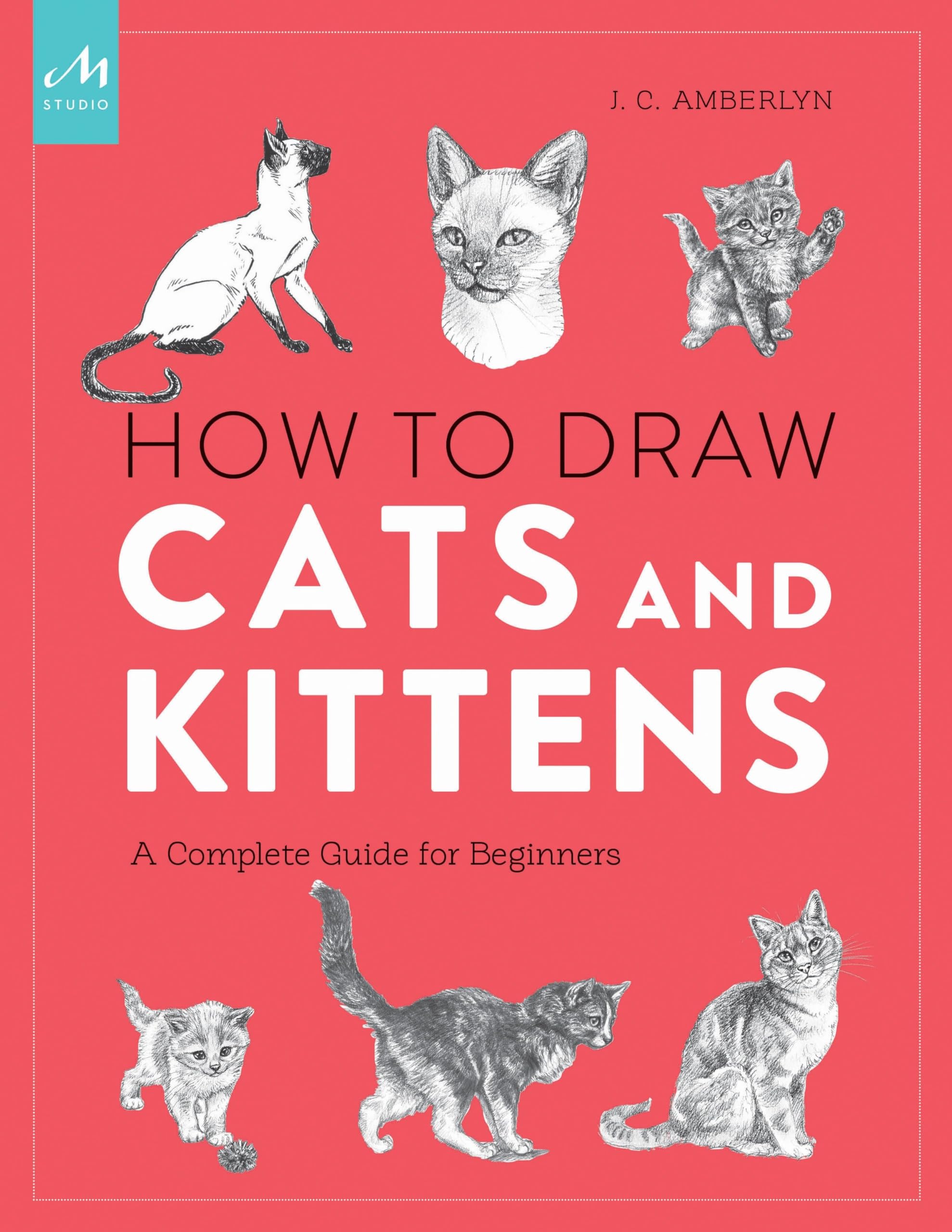 How to Draw Cats and Kittens: A Complete Guide for Beginners - 8183