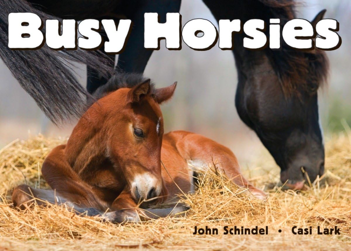 Busy Horsies (A Busy Book) - 9856