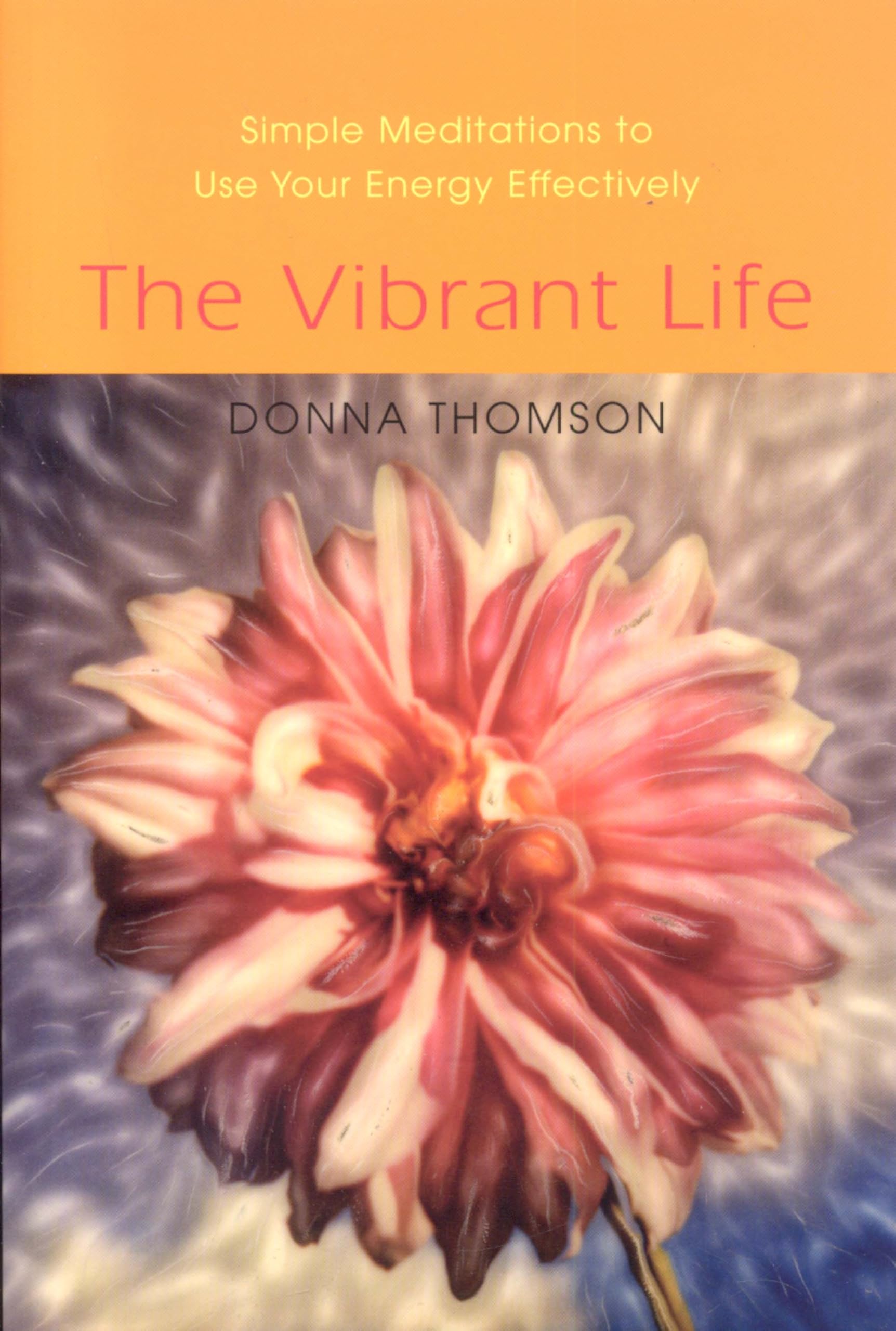 The Vibrant Life: Simple Meditations to Use Your Energy Effectively
