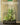 Terrariums - Gardens Under Glass: Designing, Creating, and Planting Modern Indoor Gardens