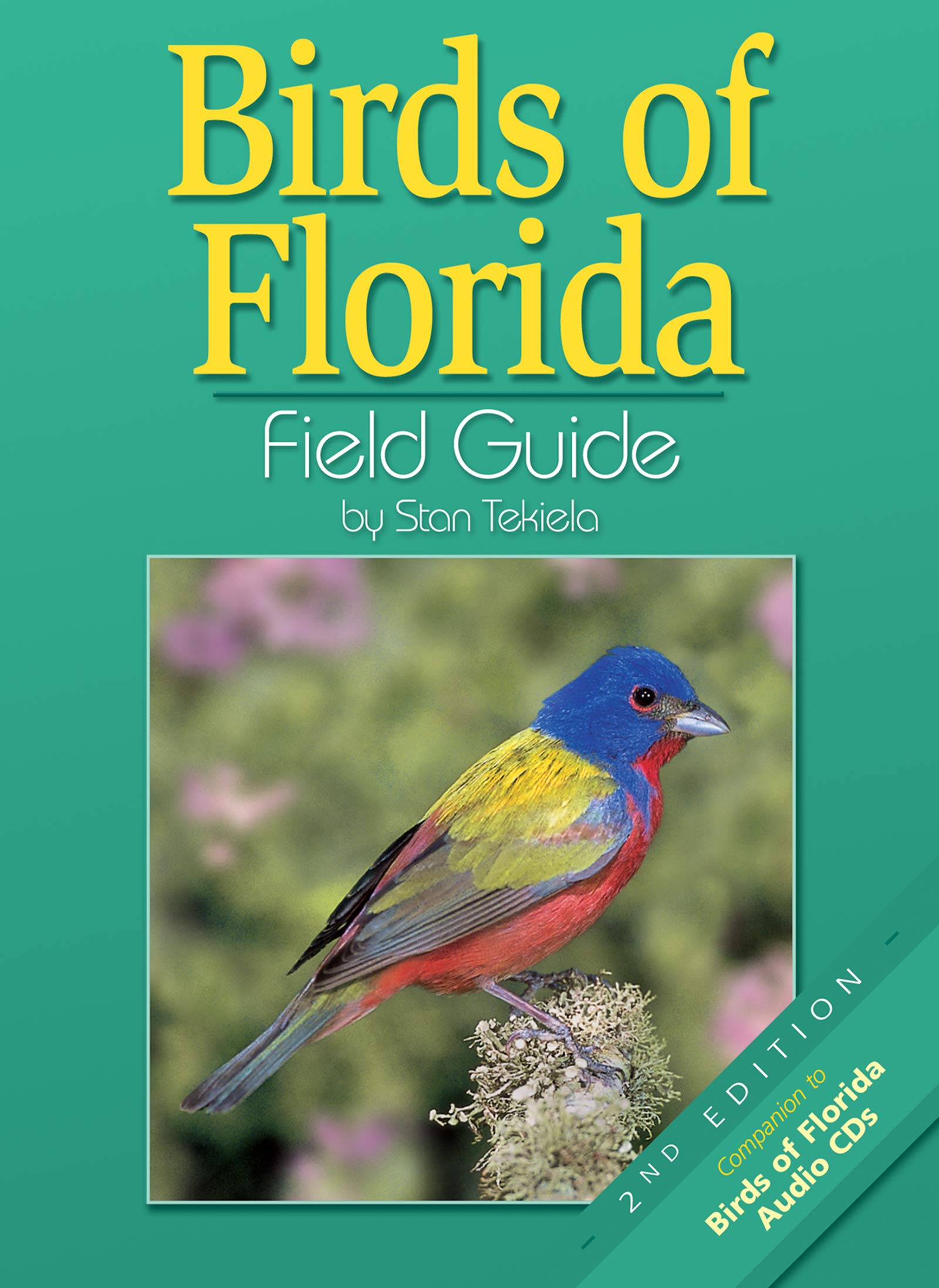 Birds Of Florida Field Guide
