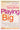 Playing Big: Practical Wisdom for Women Who Want to Speak Up, Create, and Lead