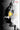 Thirteen Reasons Why 10th Anniversary Edition