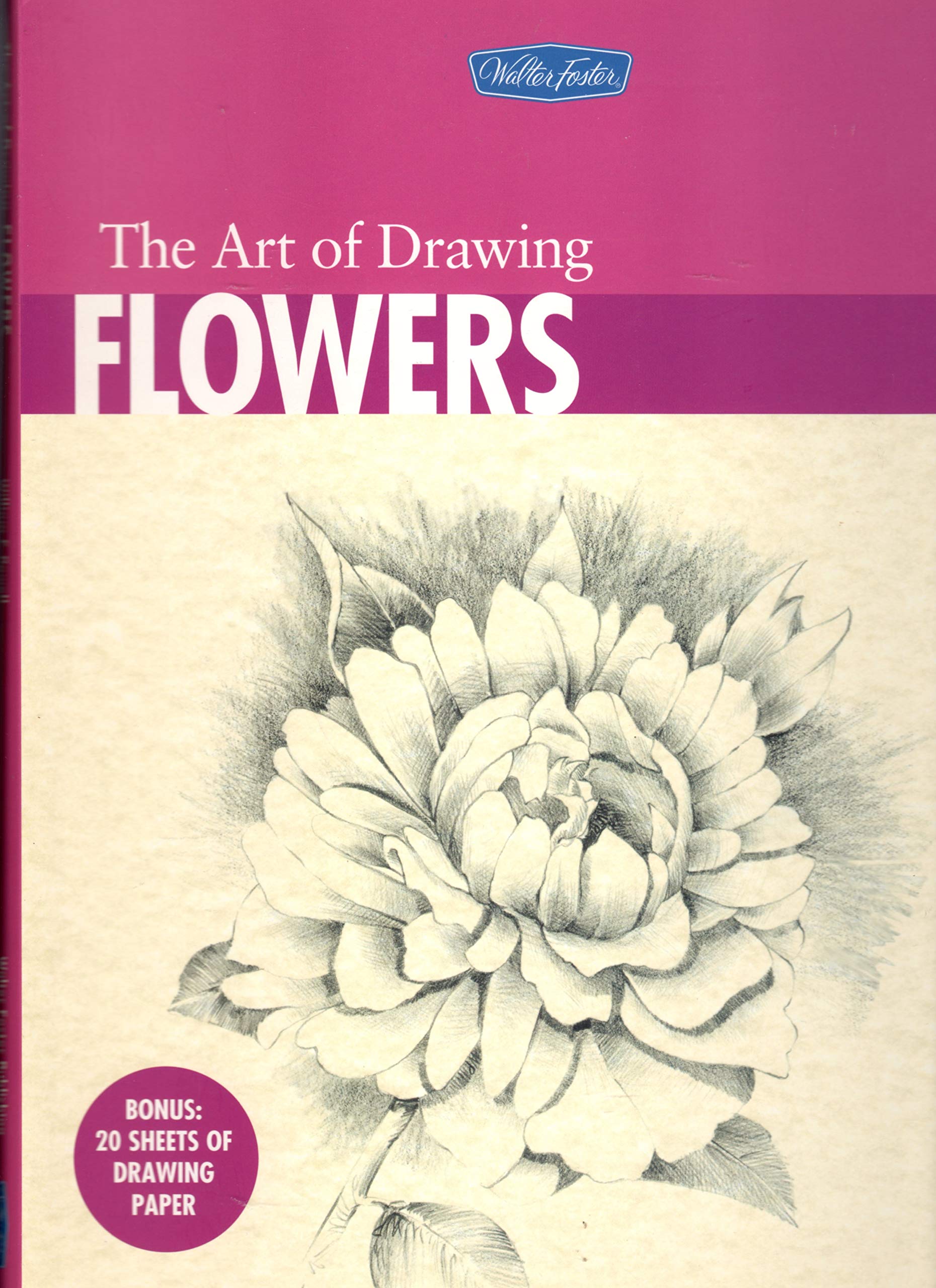 The Art of Drawing Flowers