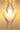 Ascension: Connecting With the Immortal Masters and Beings of Light
