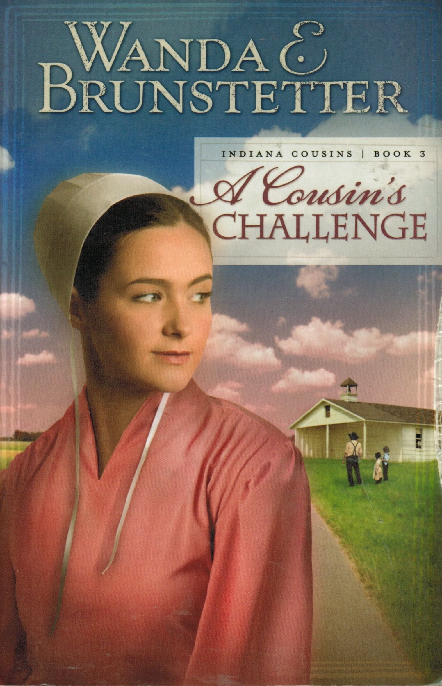 A Cousin's Challenge (Indiana Cousins, Book 3)