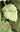 Olive Kitteridge