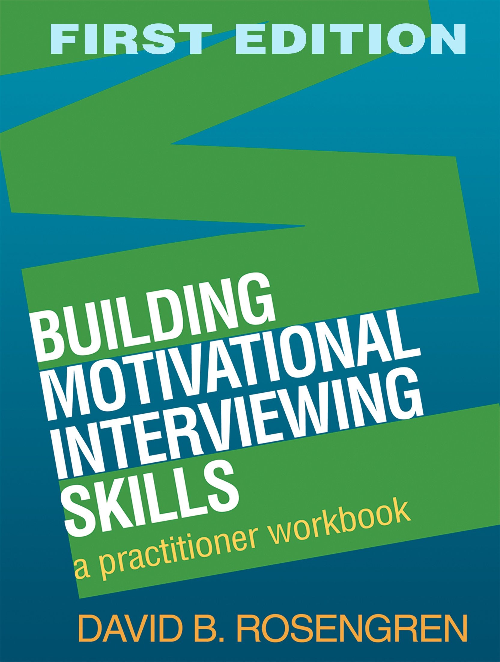 Building Motivational Interviewing Skills: A Practitioner Workbook (Applications of Motivational Interviewing)