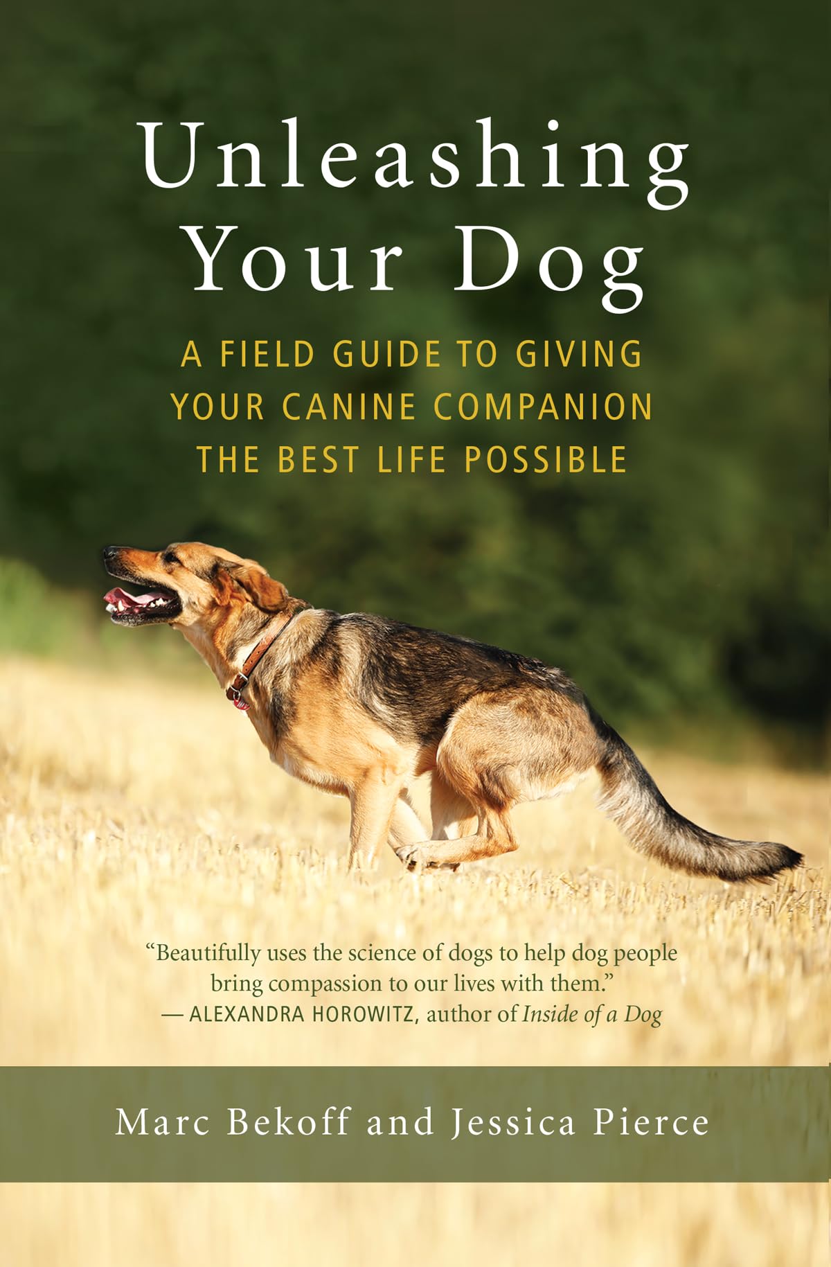 Unleashing Your Dog: A Field Guide to Giving Your Canine Companion the Best Life Possible - 7924