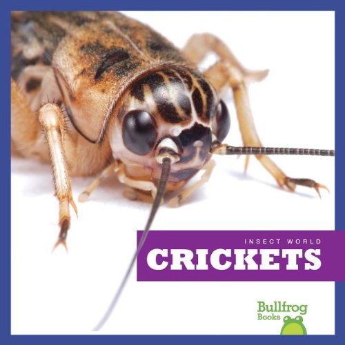Crickets (Insect World)
