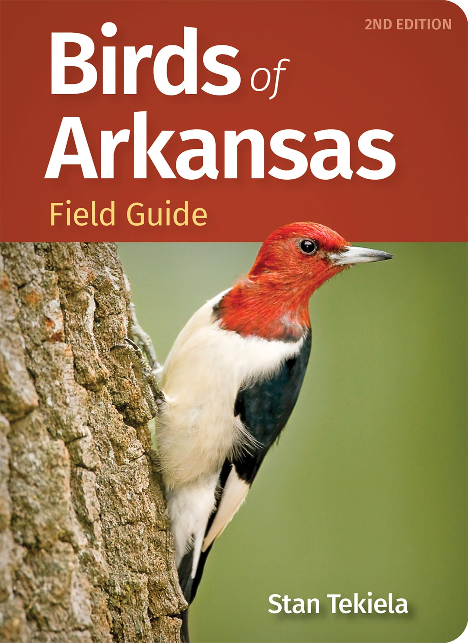 Birds of Arkansas Field Guide (Bird Identification Guides)