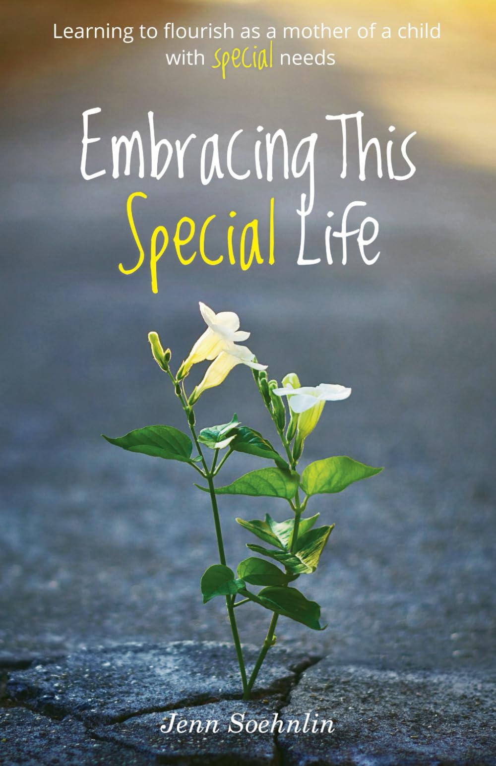 Embracing This Special Life: Learning To Flourish as a Mother of a Child with Special Needs - 5608