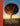 Lonely Planet The Tree Atlas