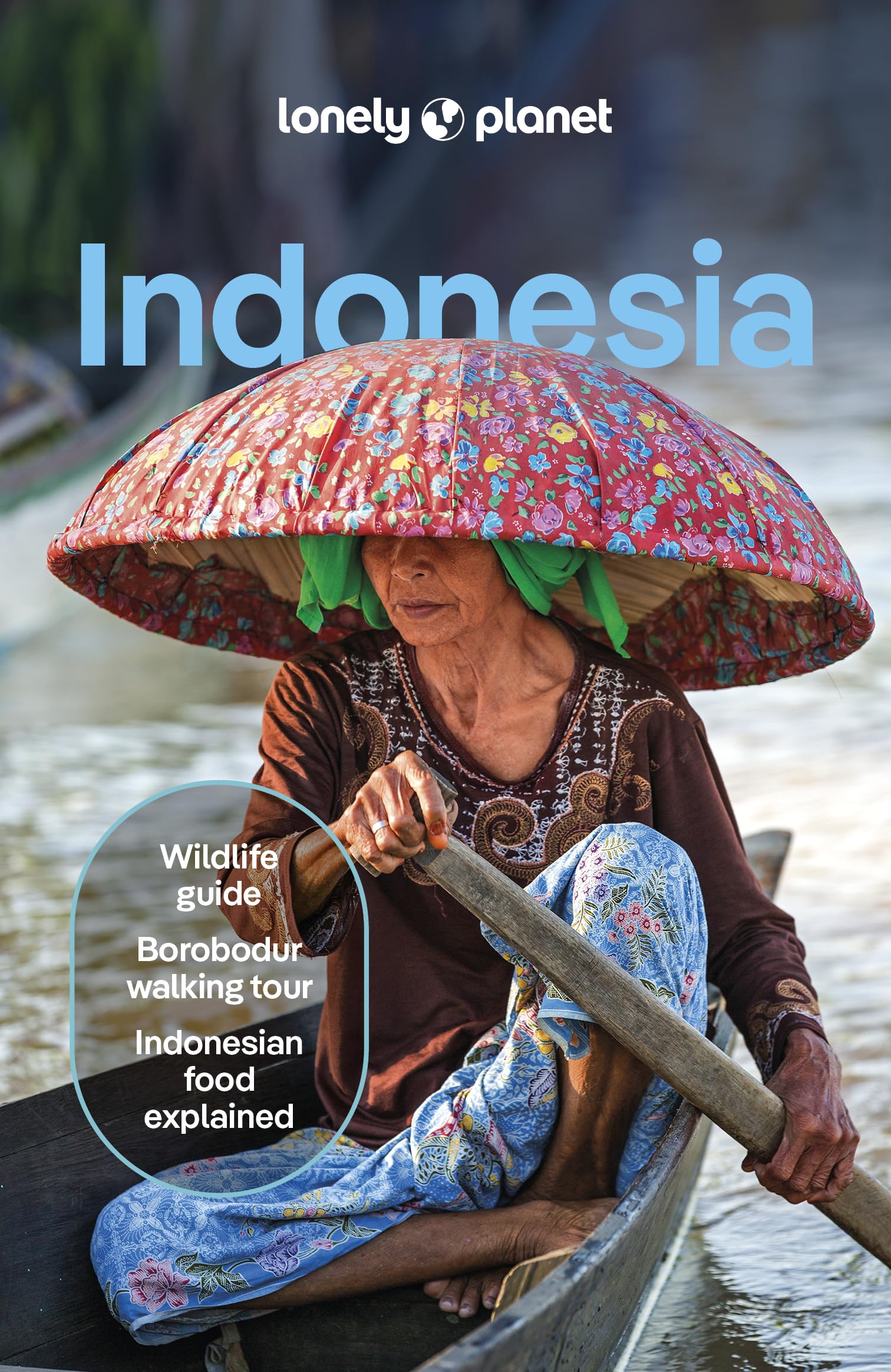 Lonely Planet Indonesia: Detailed Itineraries | Travel Like a Local | Insider Tips | Covers Java, Bali, Sumatra, Papua, and more (Travel Guide)
