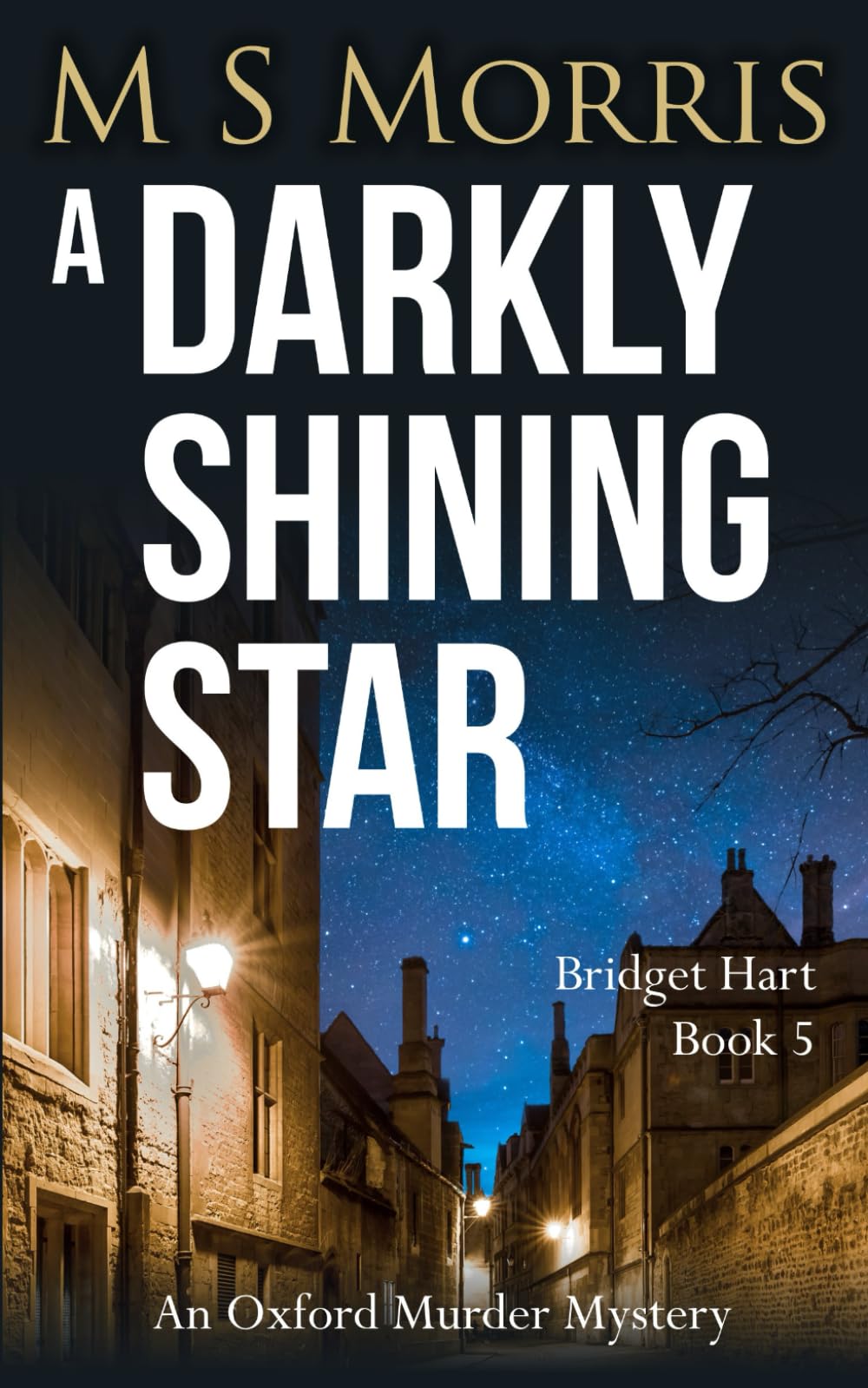 A Darkly Shining Star: An Oxford Murder Mystery (Bridget Hart)