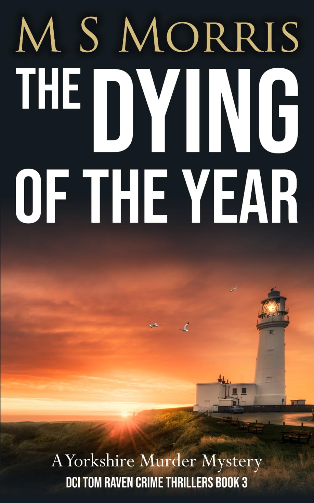 The Dying of the Year: A Yorkshire Murder Mystery (DCI Tom Raven Crime Thrillers)