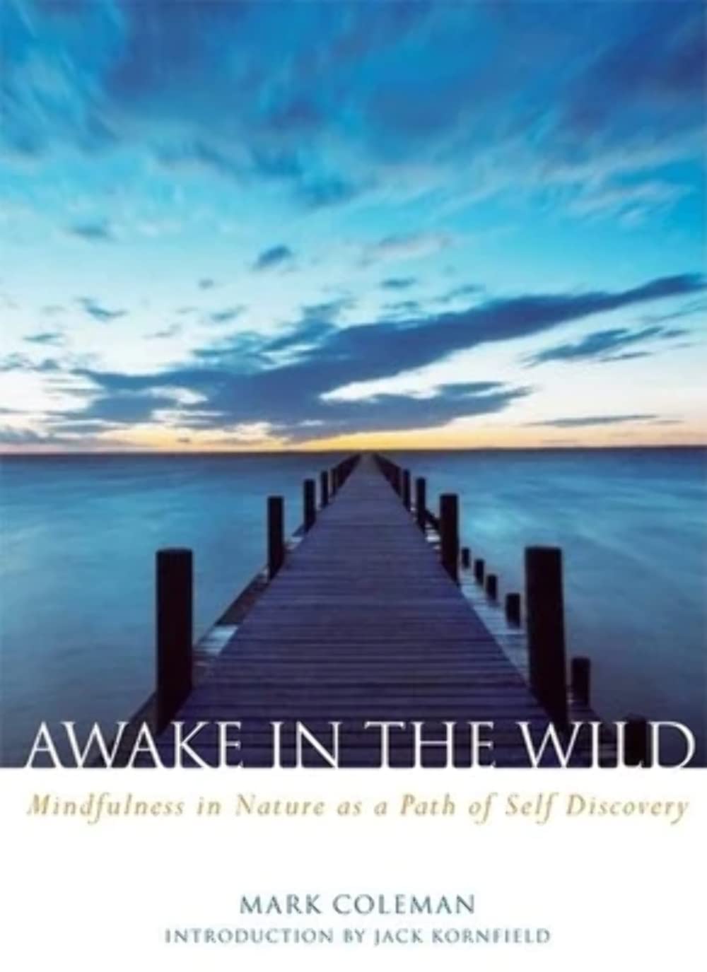 Awake in the Wild: Mindfulness in Nature as a Path of Self-Discovery - 1751