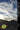 Appalachian Trail Thru-Hikers’ Companion 2021