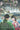 Blossoms On A Poisoned Sea: A Novel of Love & Betrayal in Minamata, Japan