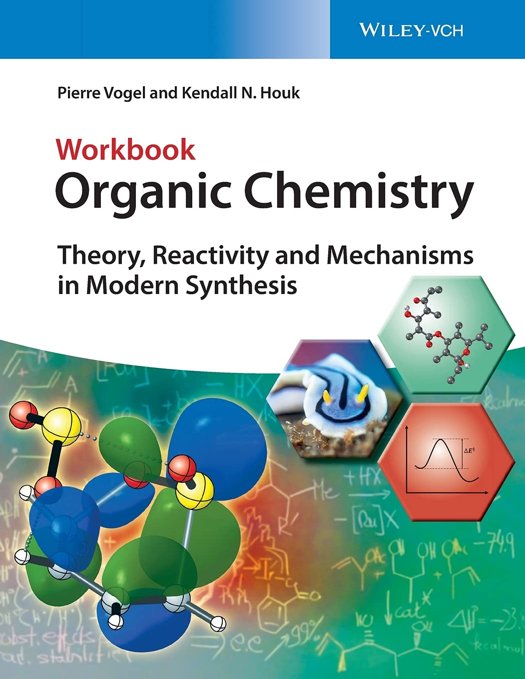 Organic Chemistry Workbook: Theory, Reactivity and Mechanisms in Modern Synthesis