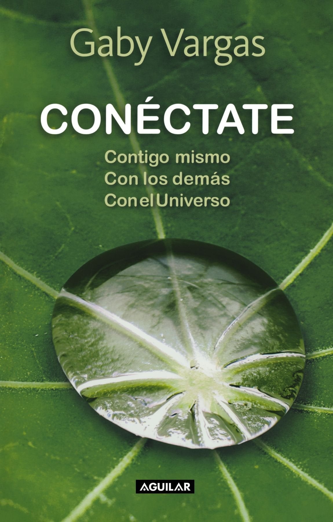 Conéctate. Contigo mismo, con los demás, con el universo (Spanish Edition) - 3371