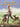 WHERE THE RED FERN GROWS [DVD]