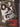 Running on Empty [DVD]