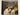 Ludwig van Beethoven: Violin Concerto in D major, Op. 61 / Romance in G major, Op. 40 / Romance in F major, Op. 50 - Gidon Kremer / Chamber Orchestra of Europe / Nikolaus Harnoncourt