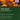 Vivaldi Favorites