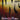 Listen Like Thieves