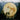 Native Suite: Chants Dances & Remembered Earth