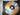 Vivaldi: The Four Seasons