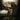Darkest Days