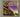The Best of the Manhattan Transfer