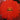 Century Flower