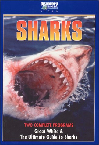 Great White/The Ultimate Guide To Sharks [DVD]
