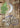The Adventures of Ma & Pa Kettle, Vol. 1 (The Egg and I / Ma and Pa Kettle / Ma and Pa Kettle Go to Town / Ma and Pa Kettle Back on the Farm)